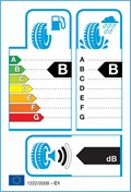 Etichetta Europea: <strong>Bridgestone</strong><br /><span style='font-weight:normal'>255/55 R20 110Y TURANZA ALL SEASON 6 M+S</span>