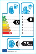 Etichetta Europea: <strong>Firemax</strong><br /><span style='font-weight:normal'>295/40 ZR22 112W FM601</span>