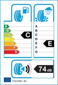 Etichetta Europea: <strong>Tracmax</strong><br /><span style='font-weight:normal'>275/40R020 Tracmax F110 106V</span>