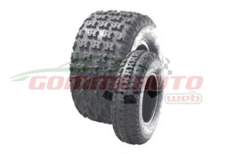 COP. 20/11 -9 43J A-031