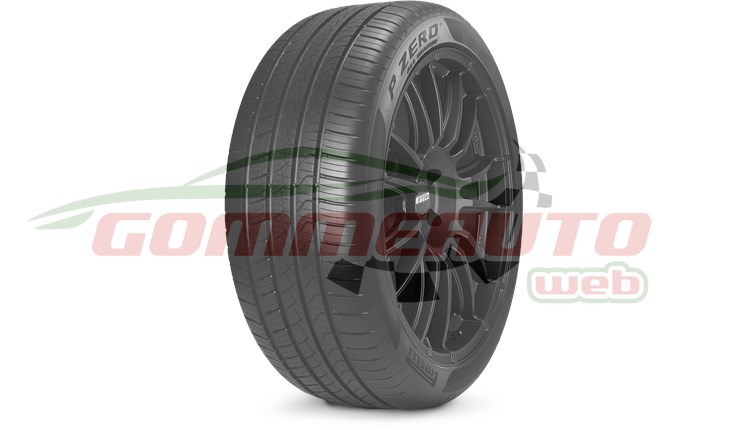 COP. 315/30 R22 107W PZERO ALL SEASON