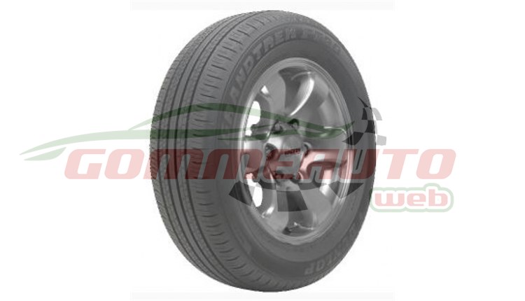COP. 225/60 R18 100H PT30