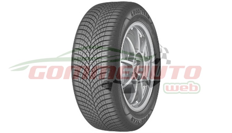COP. 205/55R17 95V XL VECTOR 4S G3 M+S